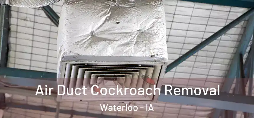 Air Duct Cockroach Removal Waterloo - IA
