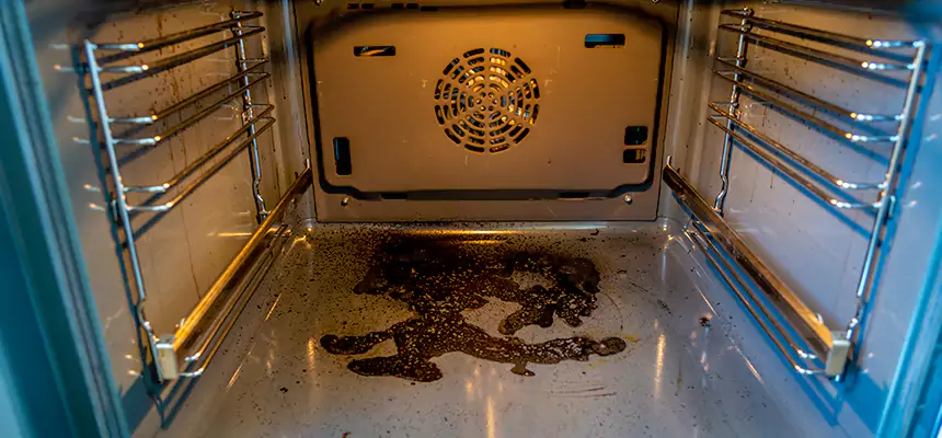 Our Dryer Vent Mold Cleaning Services in Waterloo, IA