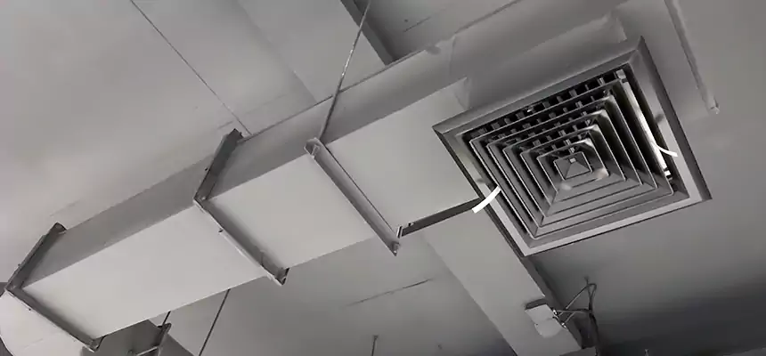 Our Pest Removal From Ducts Services in Waterloo, IA