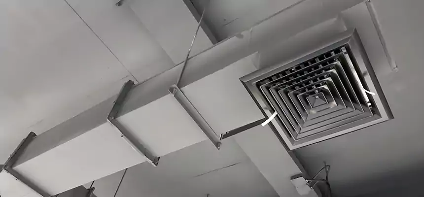 Our Rodent Droppings In Vents Services in Waterloo, IA