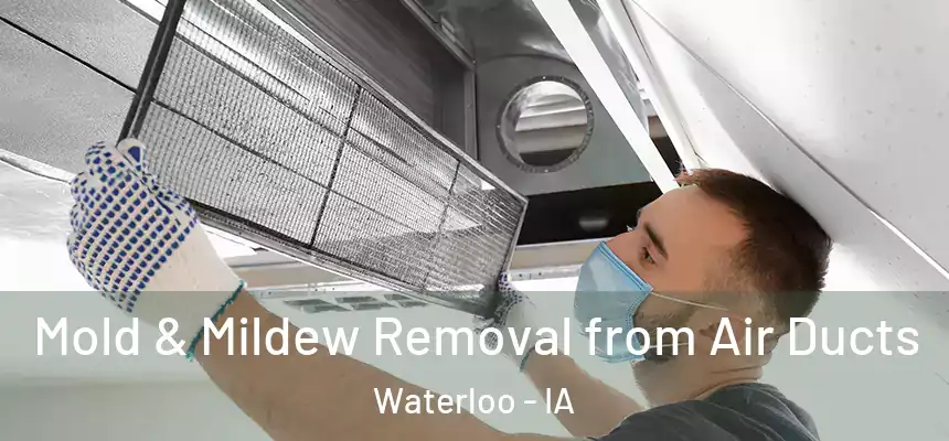 Mold & Mildew Removal from Air Ducts Waterloo - IA