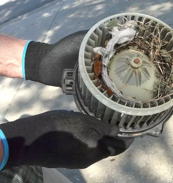 About Air Duct Rat Removal in Waterloo, IA