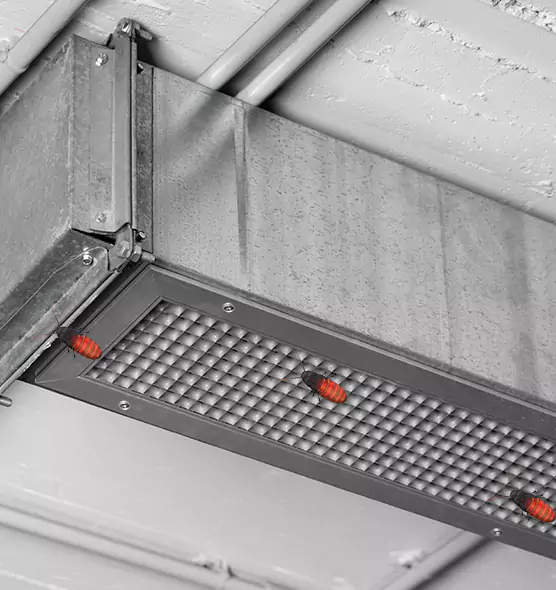 Affordable Insect Removal from Air Ducts in Waterloo, IA