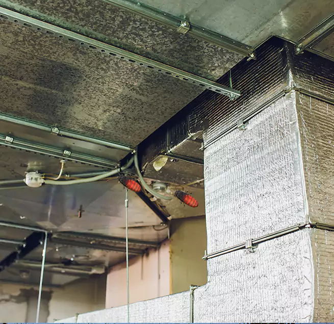 Why Homeowners & Businesses Trust Us Waterloo, IA?